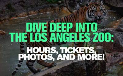 Dive Deep into the Los Angeles Zoo: Hours, Tickets, Photos, and More!
