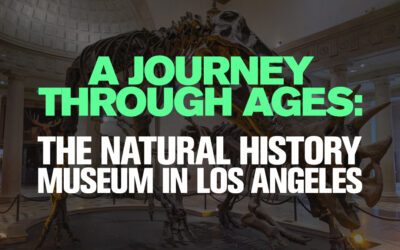 A Journey Through Ages: The Natural History Museum in Los Angeles